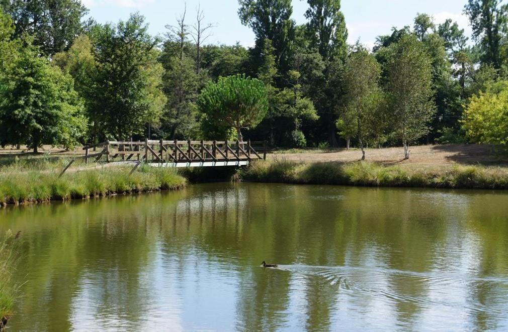 Gite L'Atelier Bois Gailleres Екстериор снимка